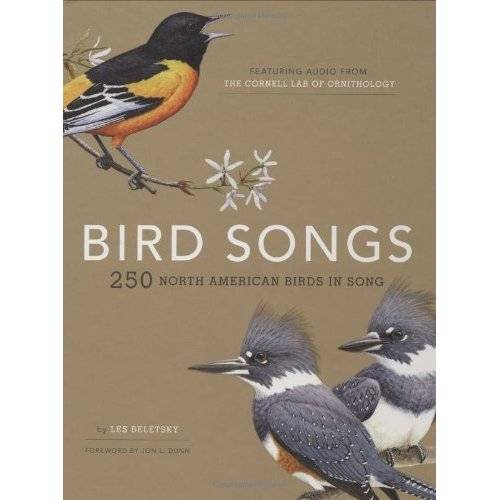 Discovering Backyard Bird Songs | Anythink Libraries