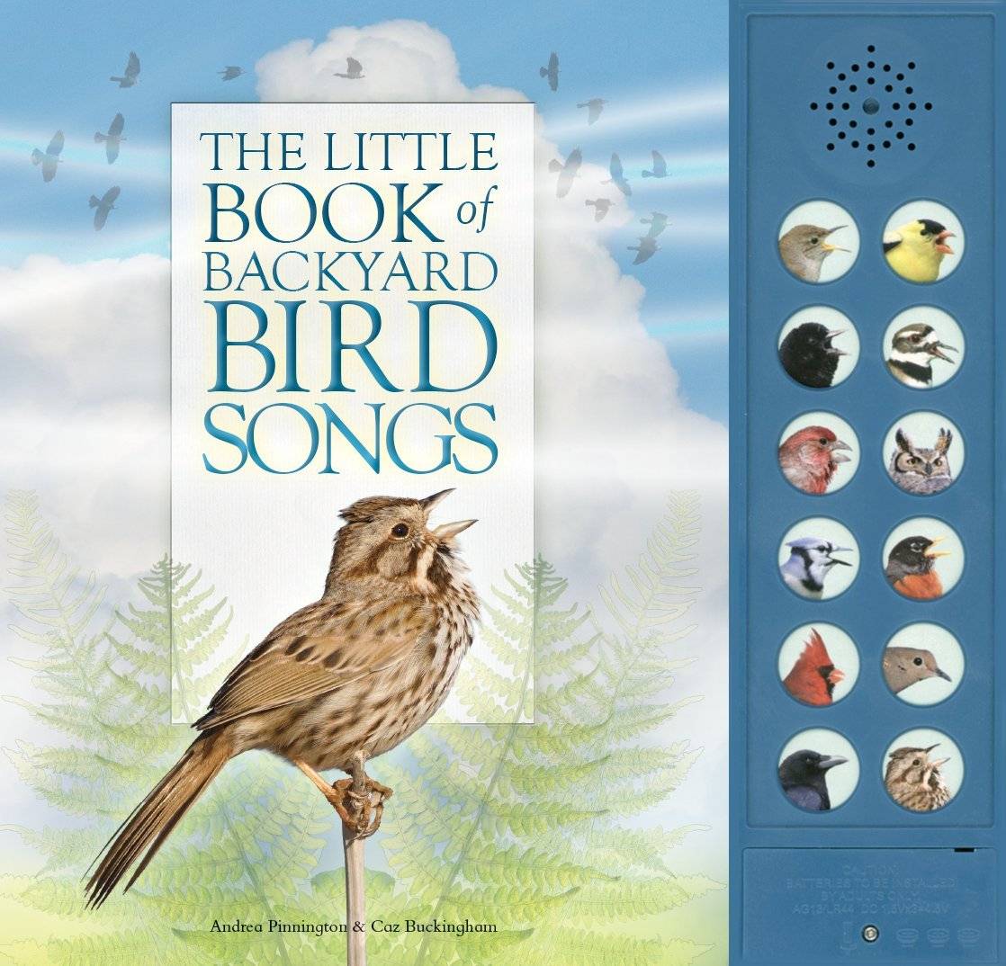 Discovering Backyard Bird Songs | Anythink Libraries