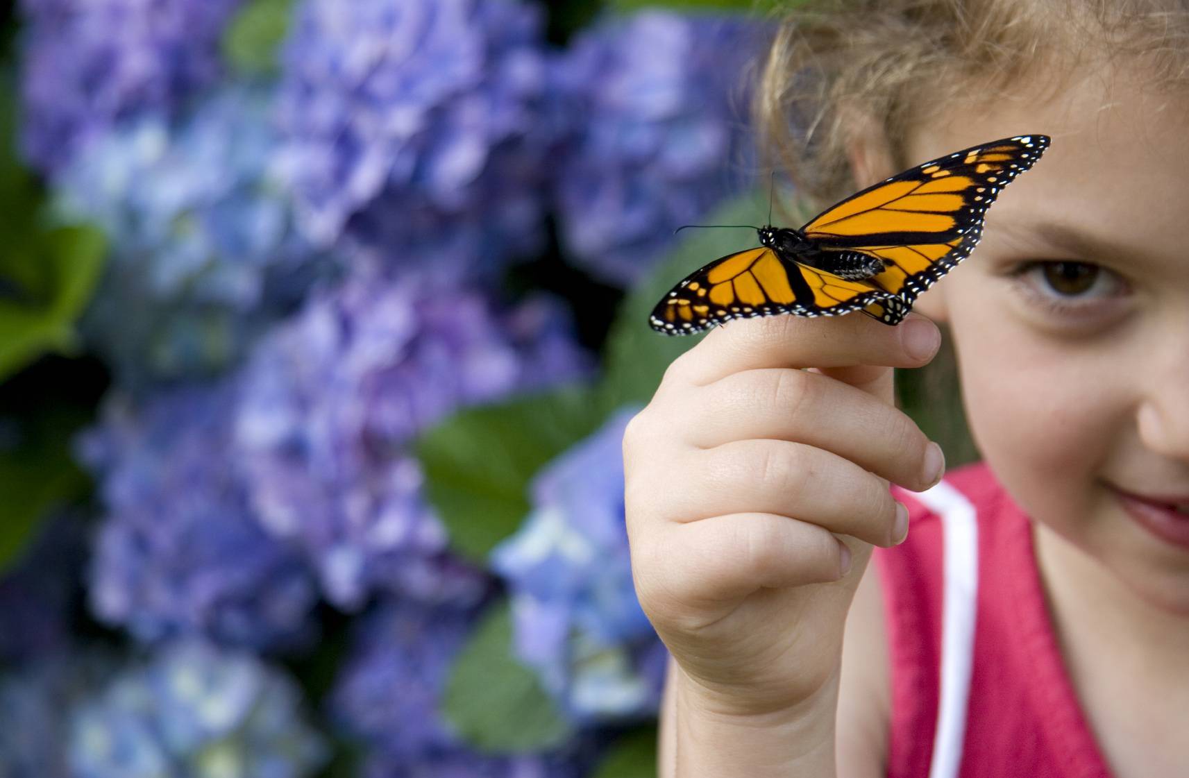 Ребенок держит бабочку