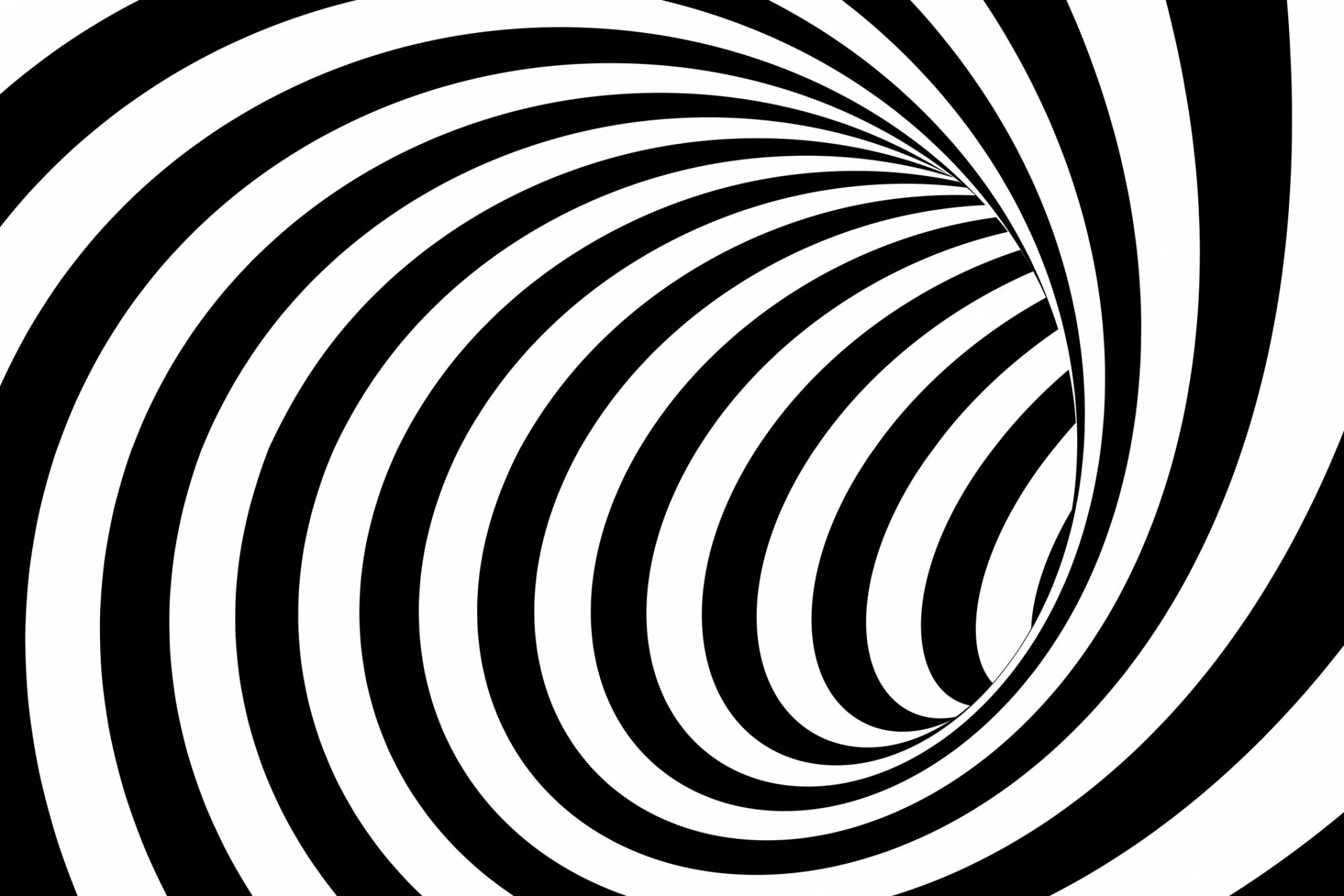 Pictures In Pictures Optical Illusions An Lined Optical Illusion Went