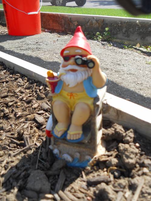 garden gnome