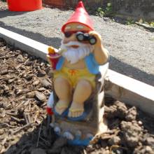 garden gnome